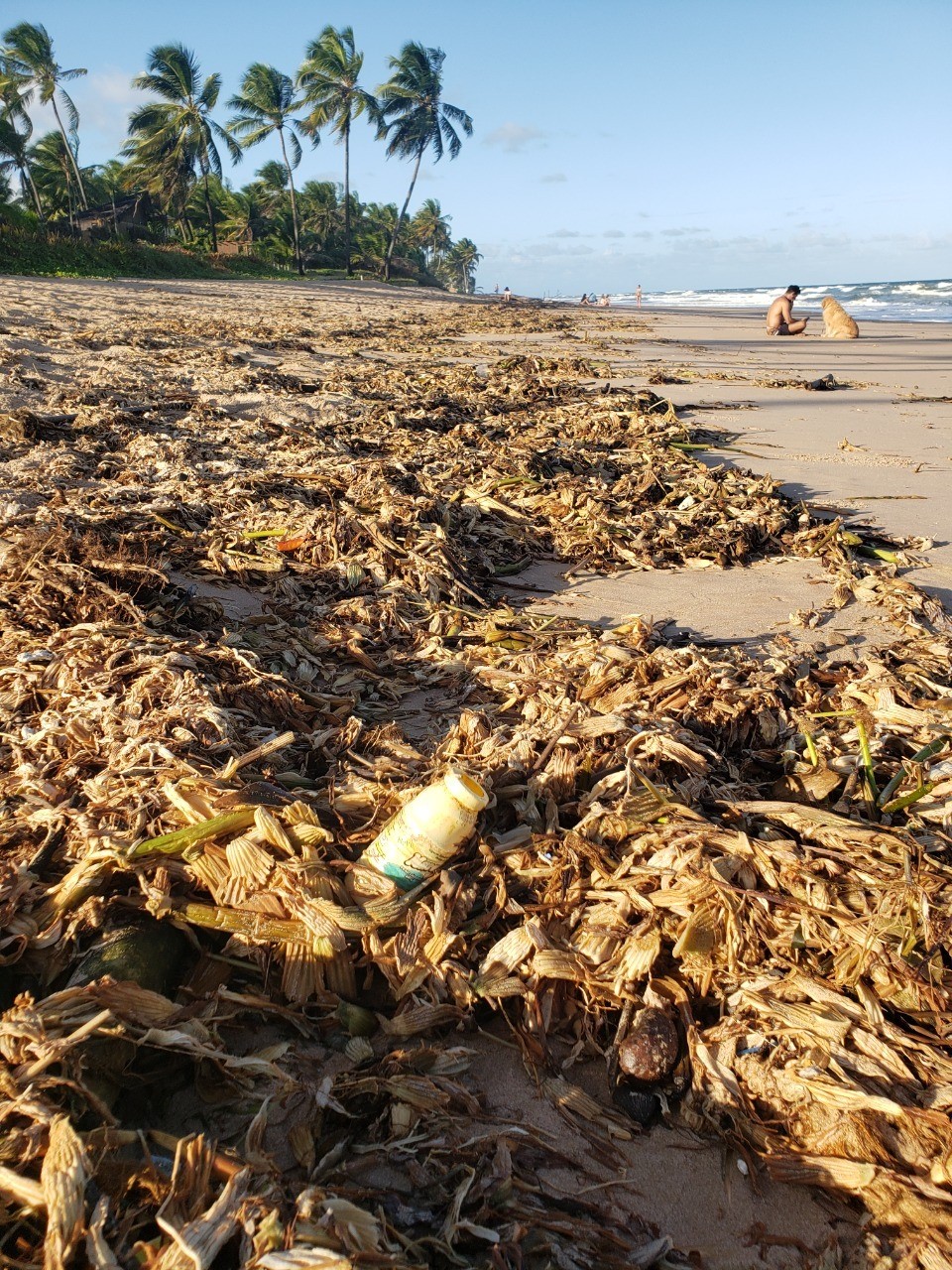 Moradores de Busca Vida promovem mutirão de limpeza da praia no domingo (15)